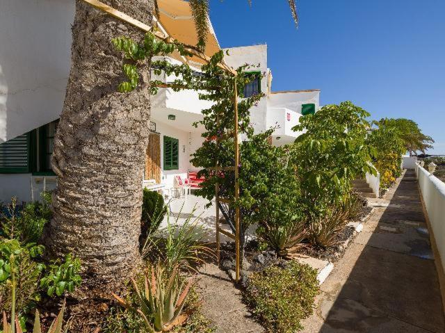 Apartamento Nire Lula En La Misma Playa Cotillo Zewnętrze zdjęcie
